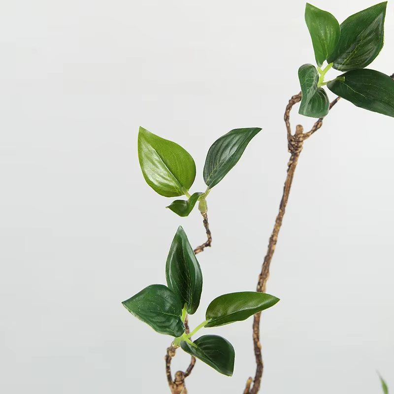 Plantes Vertes Artificielles