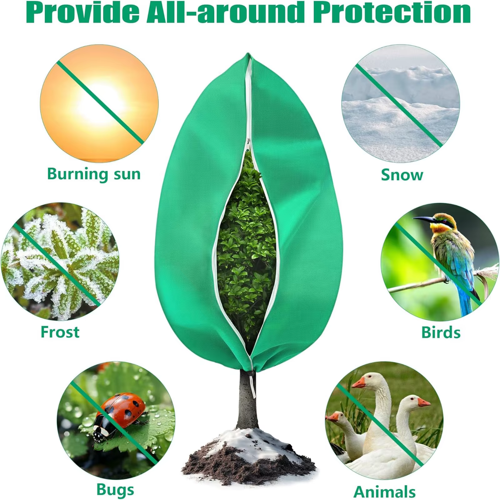 Couverture de Protection des plantes d'hiver