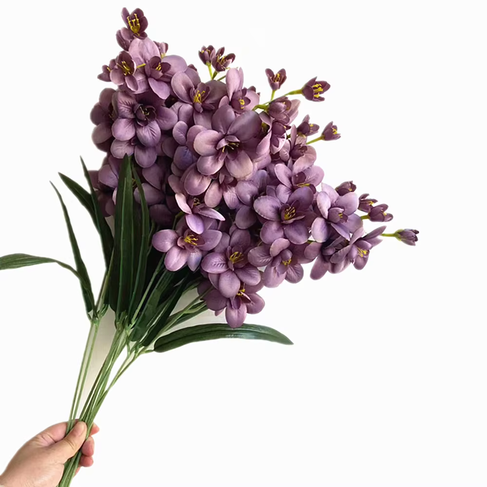 InjCattleya-Branche de fleur avec cuir chevelu vert