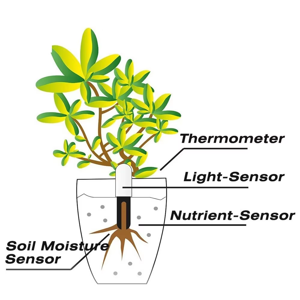 HHCC Flora Monitor Version mondiale fonctionne avec l'application Xiaomi Mijia plantes herbe soins des fleurs testeur d'eau du sol capteur détecteur moniteur
