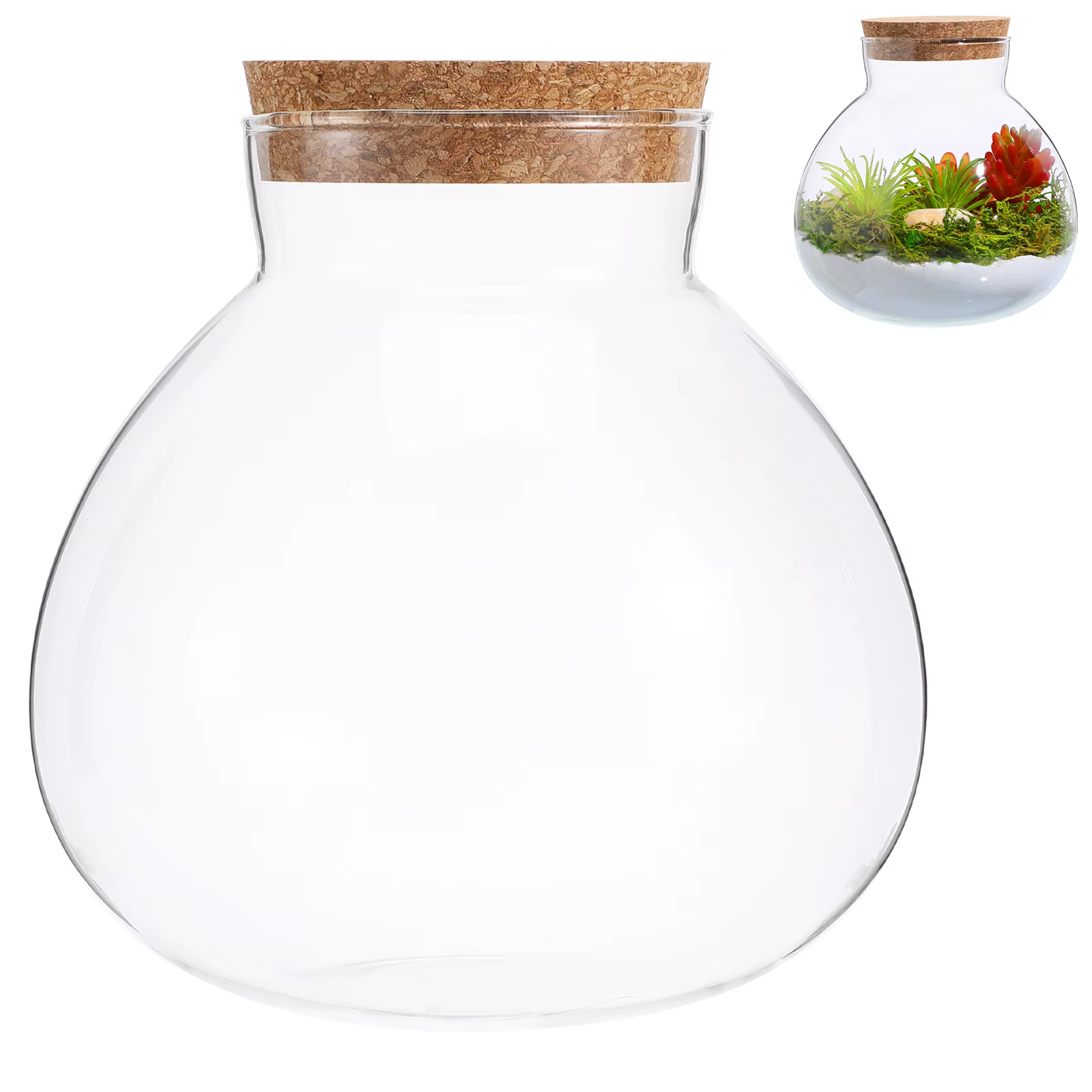 Bouteille écologique 15Cm X 16Cm