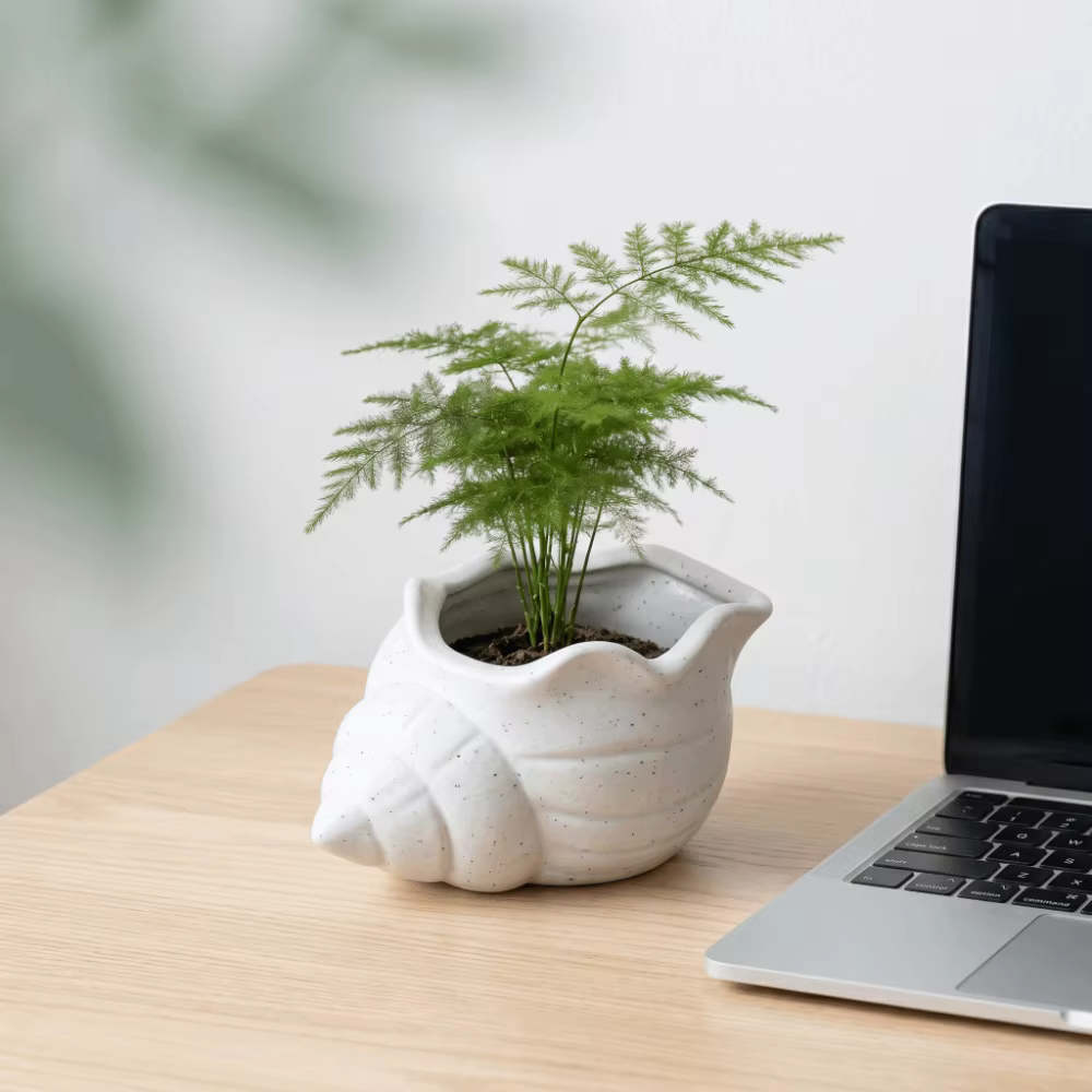 Pot de fleurs amusant en forme de coquillage imprimé en 3D