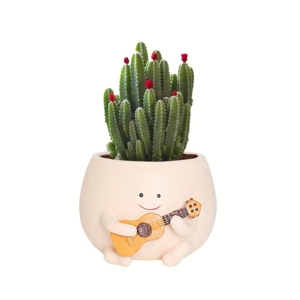 Pot de fleurs succulentes en forme de guitare