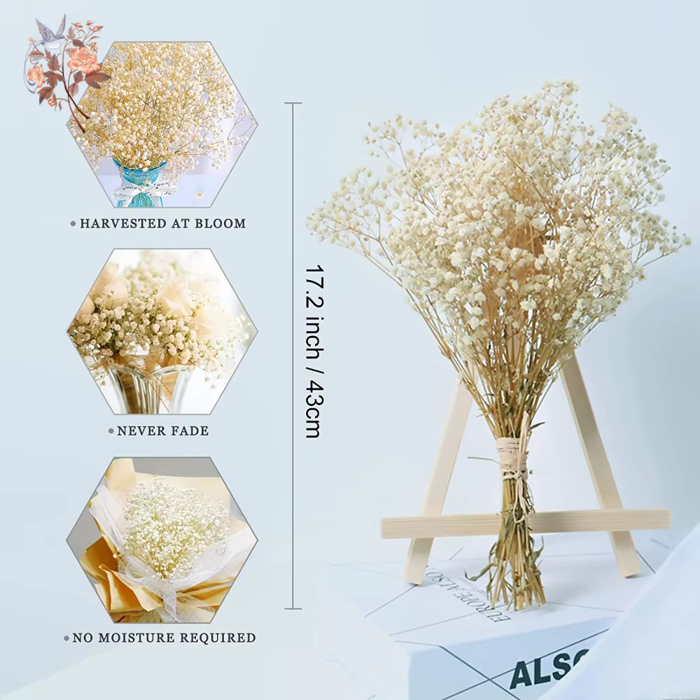 Bouquet de fleurs séchées pour bébé