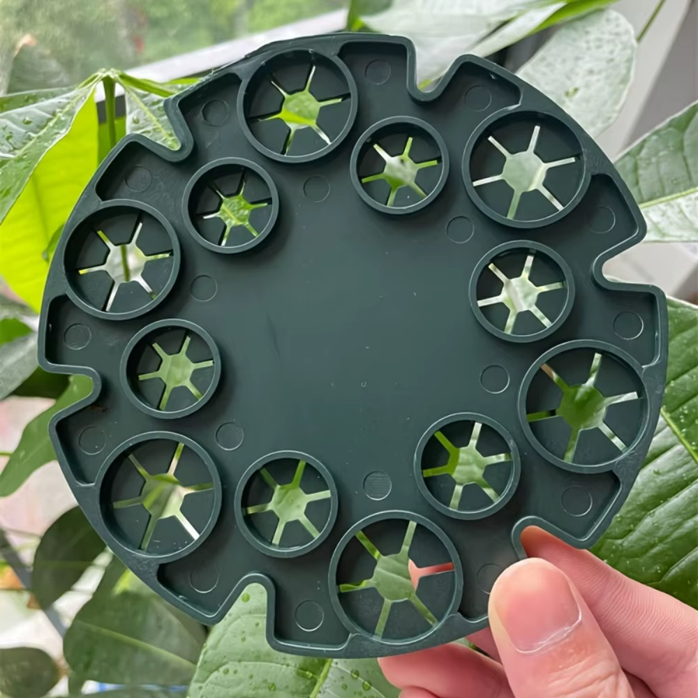 5 disques de fixation pour plantes grimpantes de jardin