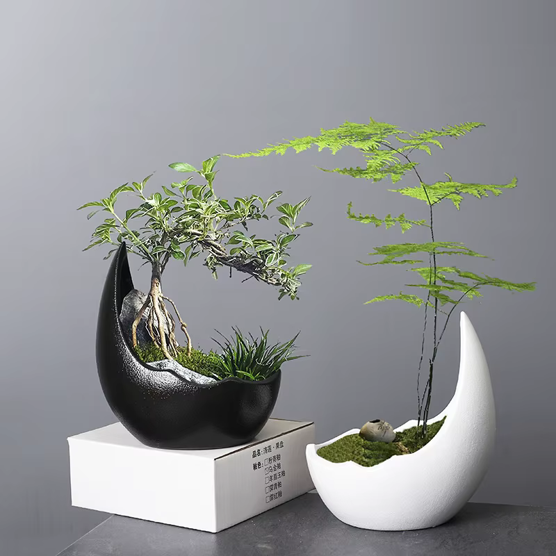 Pot de fleurs en céramique en forme de corne de rhinocéros