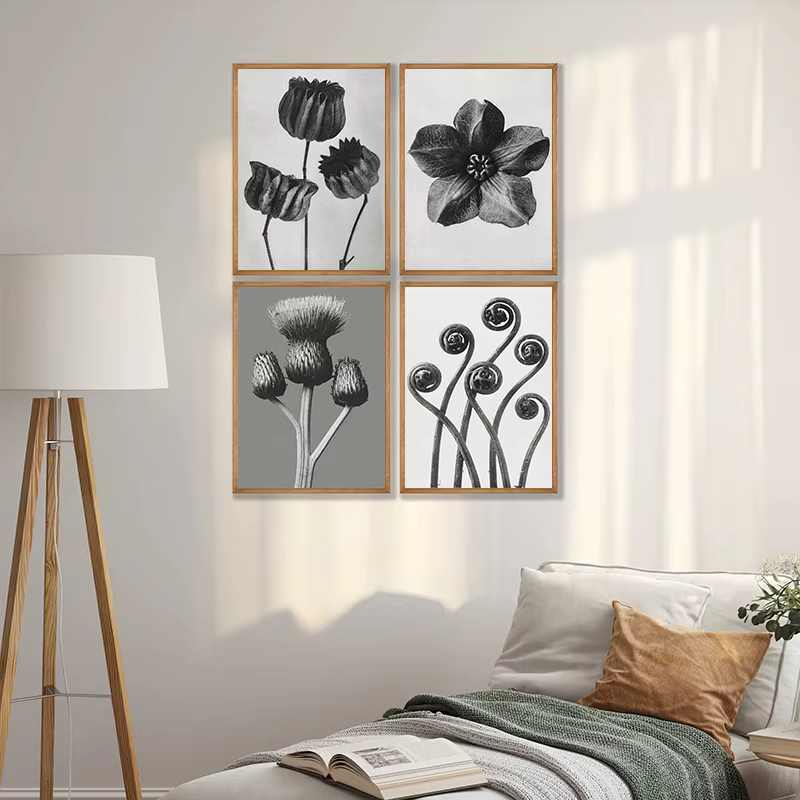 Karl Blossfeldt noir et blanc plante fleur minimaliste esthétique impression toile peinture pour salon moderne décor à la maison