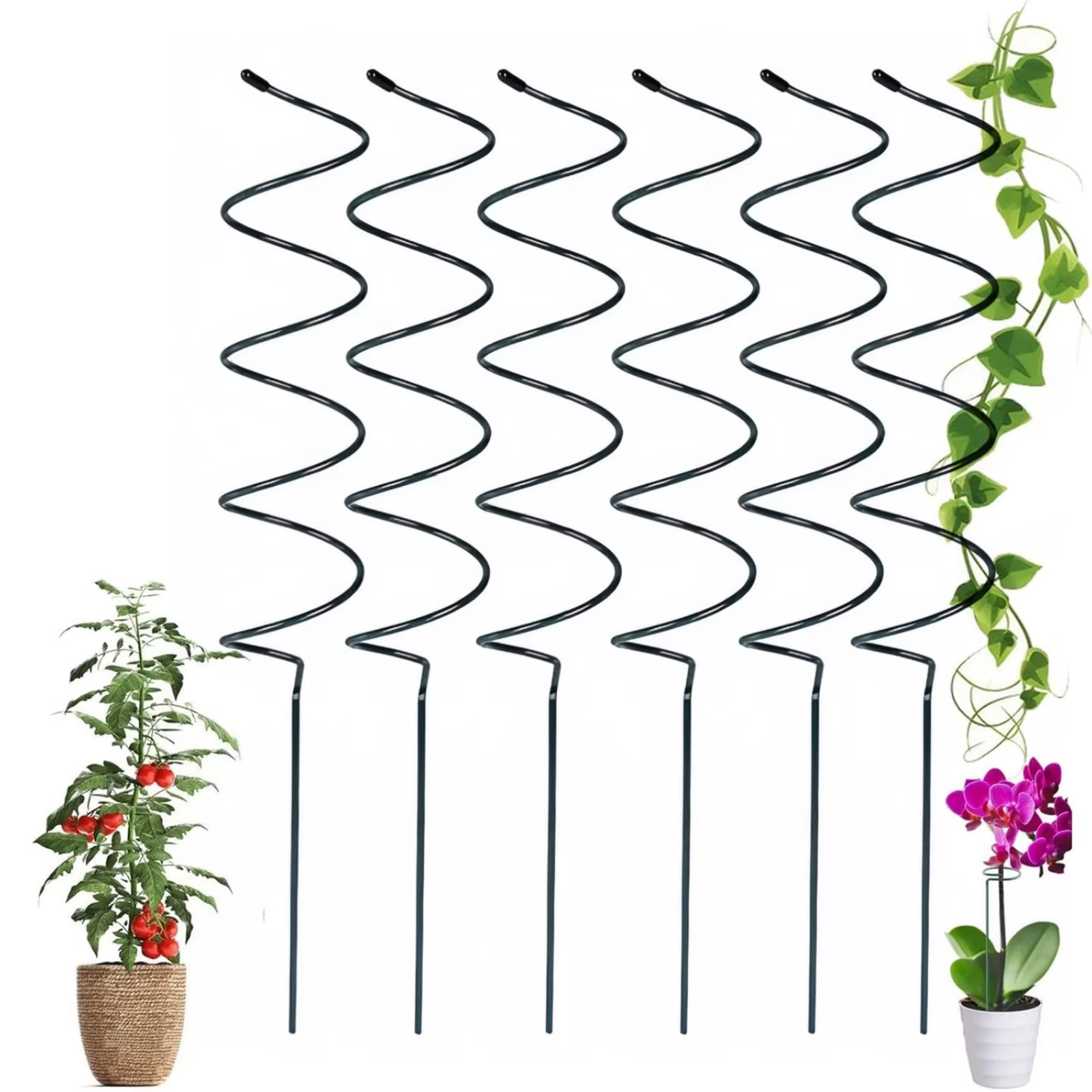 Poteau droit pour plantes et Support d'escalade en spirale