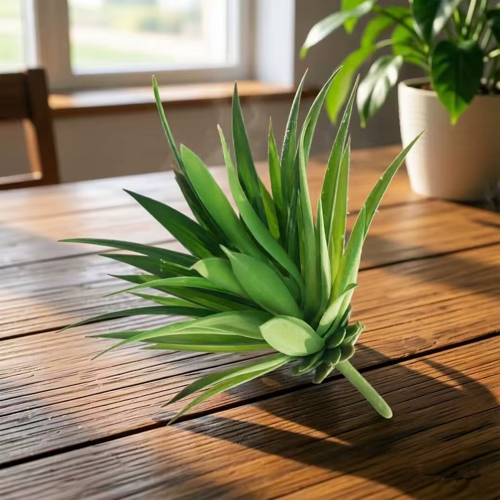 2 plantes artificielles
