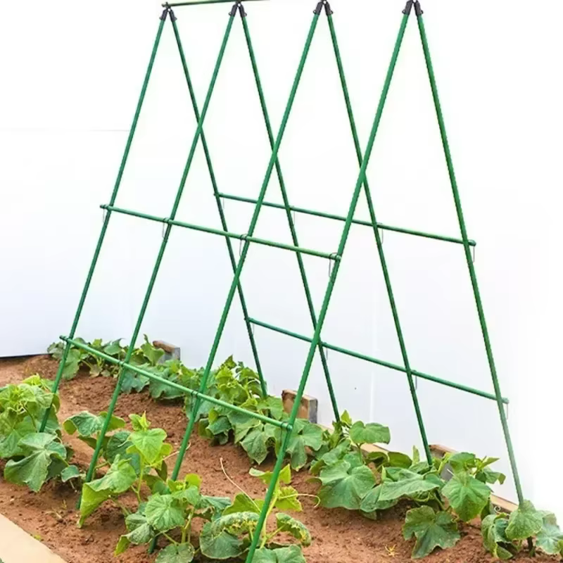Nouveau 2026 Treillis de support robuste pour plantes grimpantes