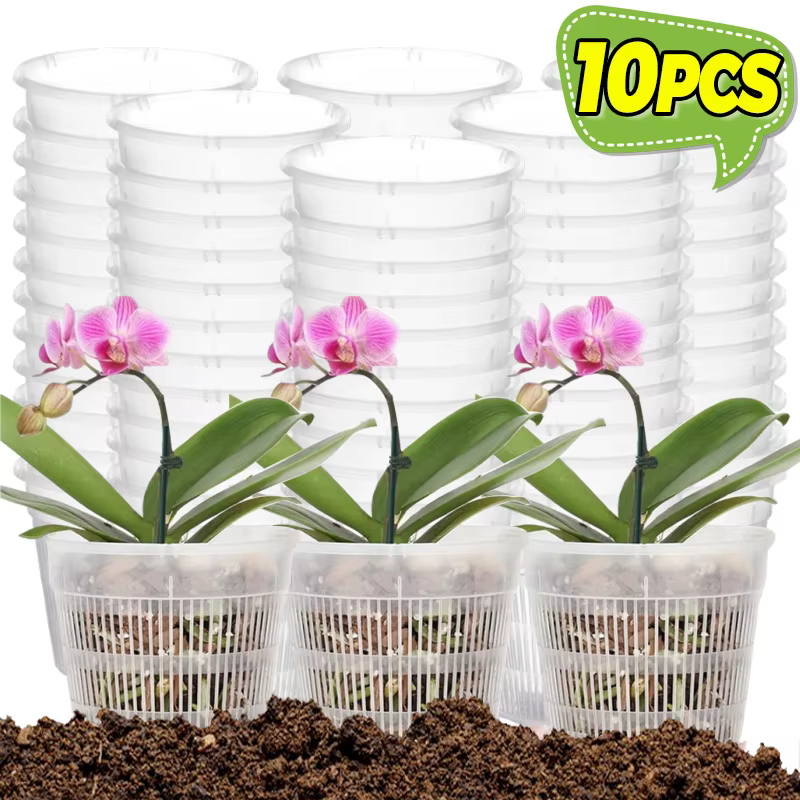 Pots d'orchidées avec trous