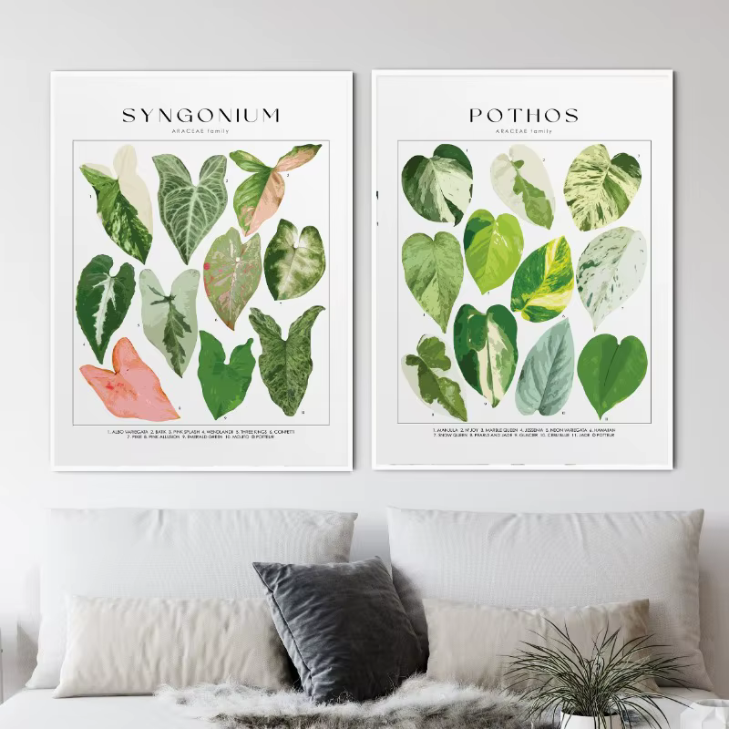 Affiche d'identification de plantes de maison