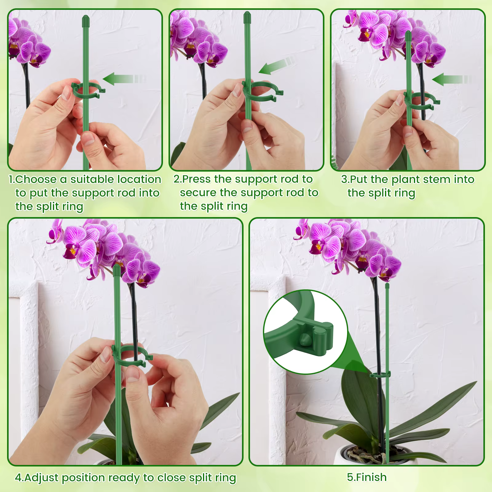 Piquets de Support pour plantes