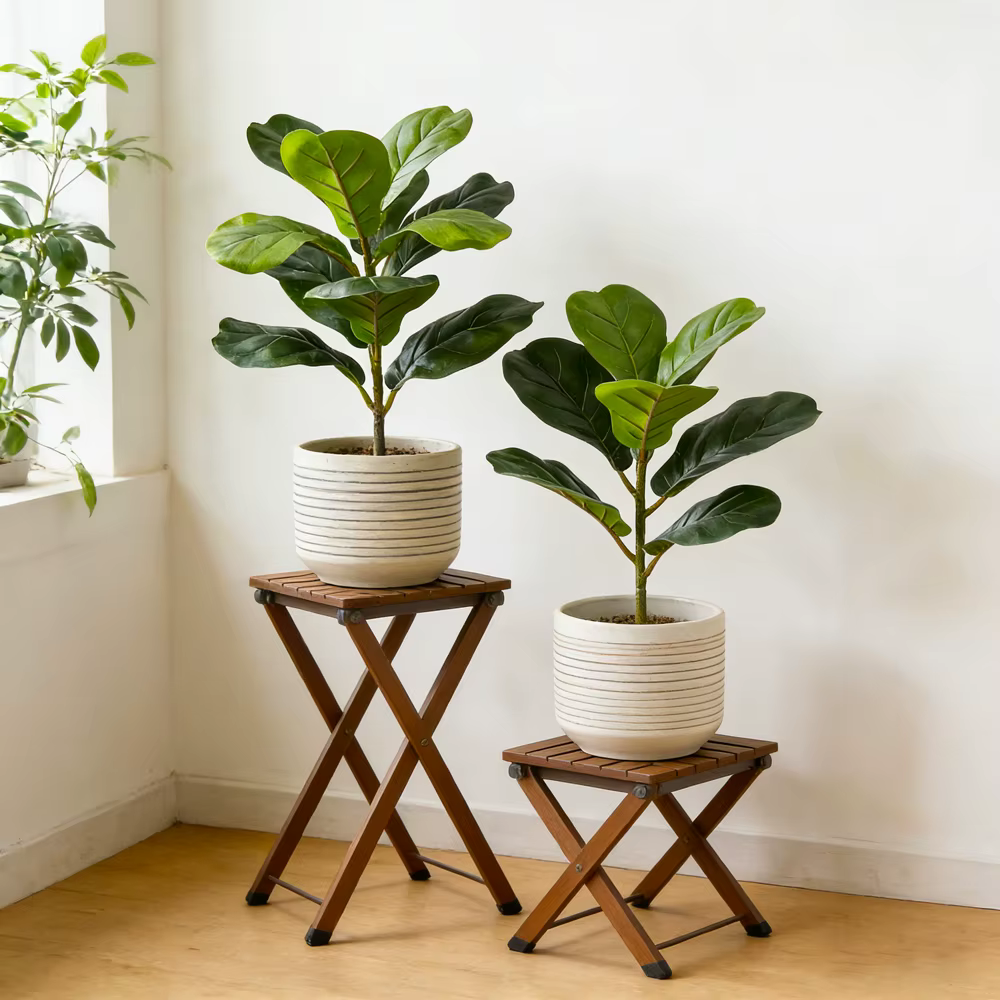Plantes artificielles Ficus 38/70 cm