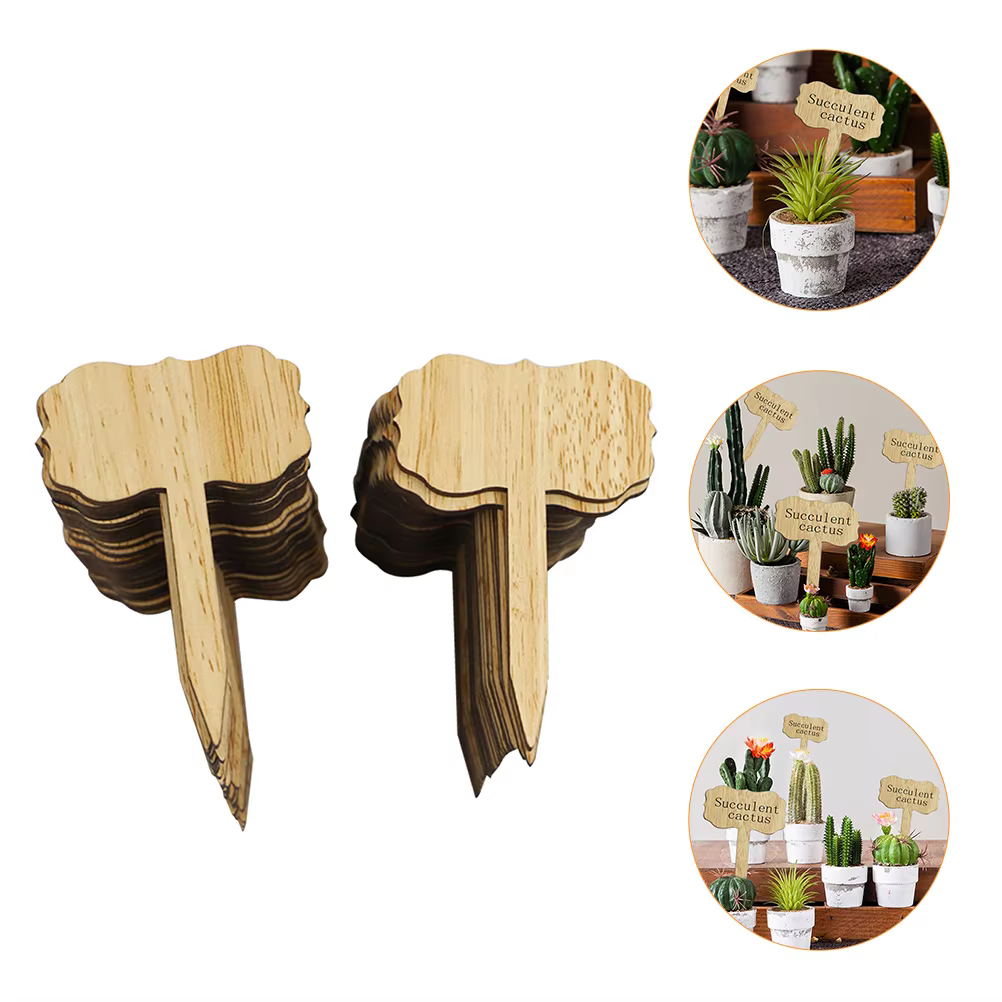 Étiquettes de plantes en bois