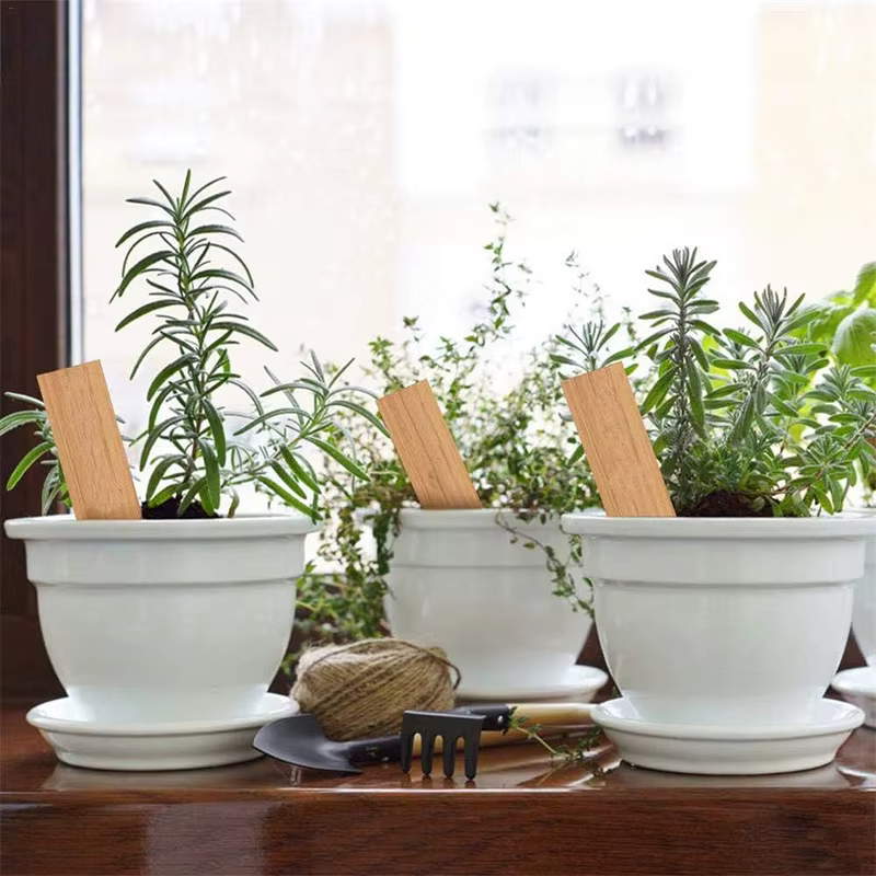 Étiquettes de plantes en bambou