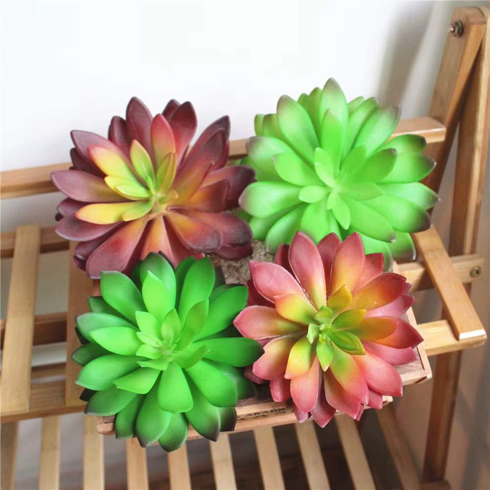 Tête de fleur de Lotus vert rouge