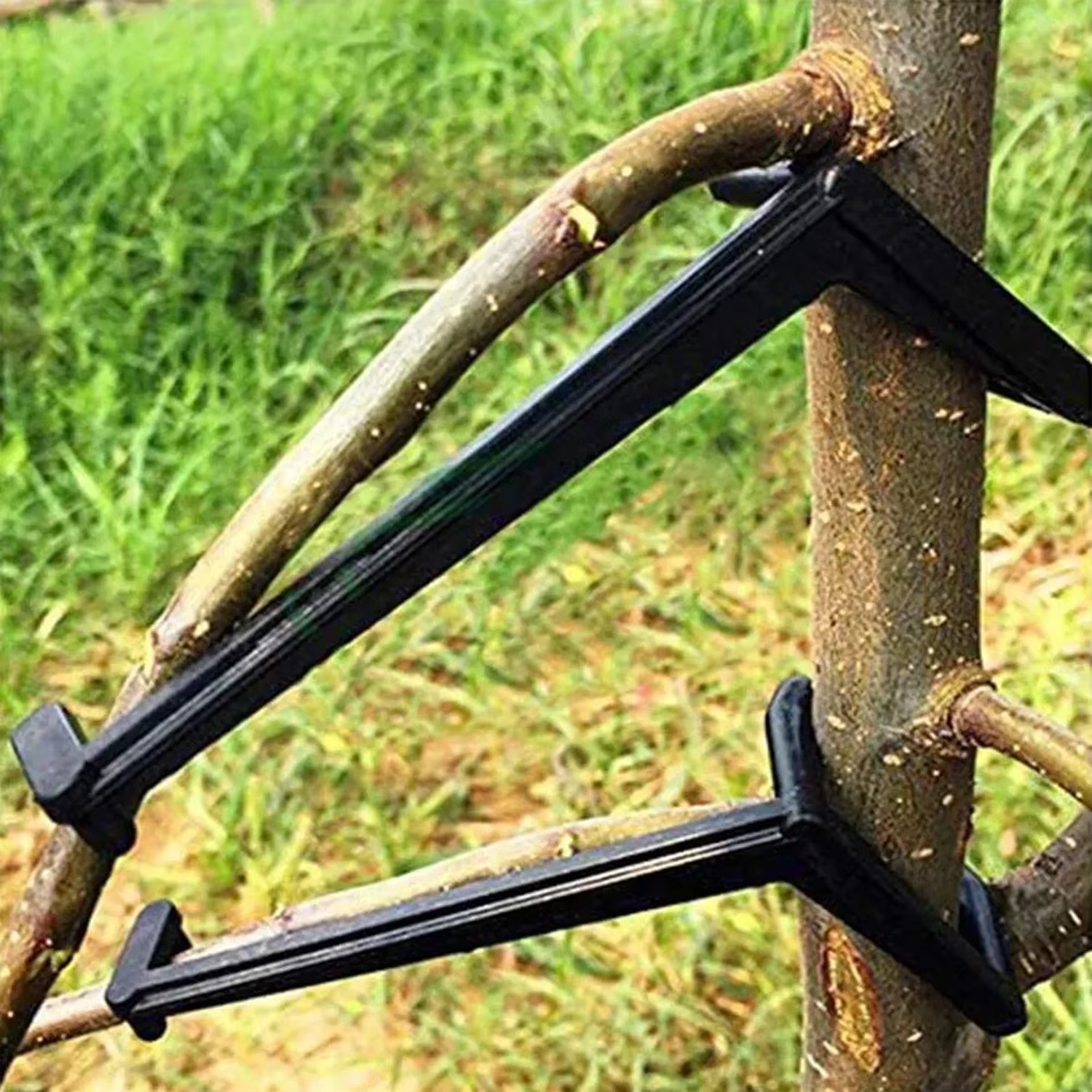 Épandeur d'arbres à branches