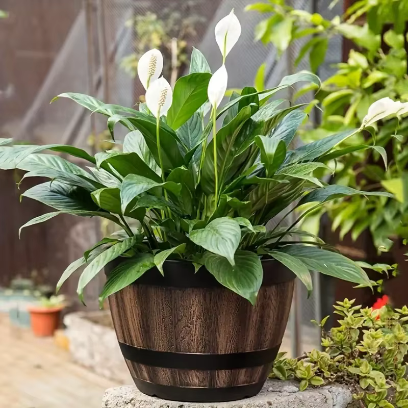 Pot de fleurs élégant inspiré de un baril de whisky