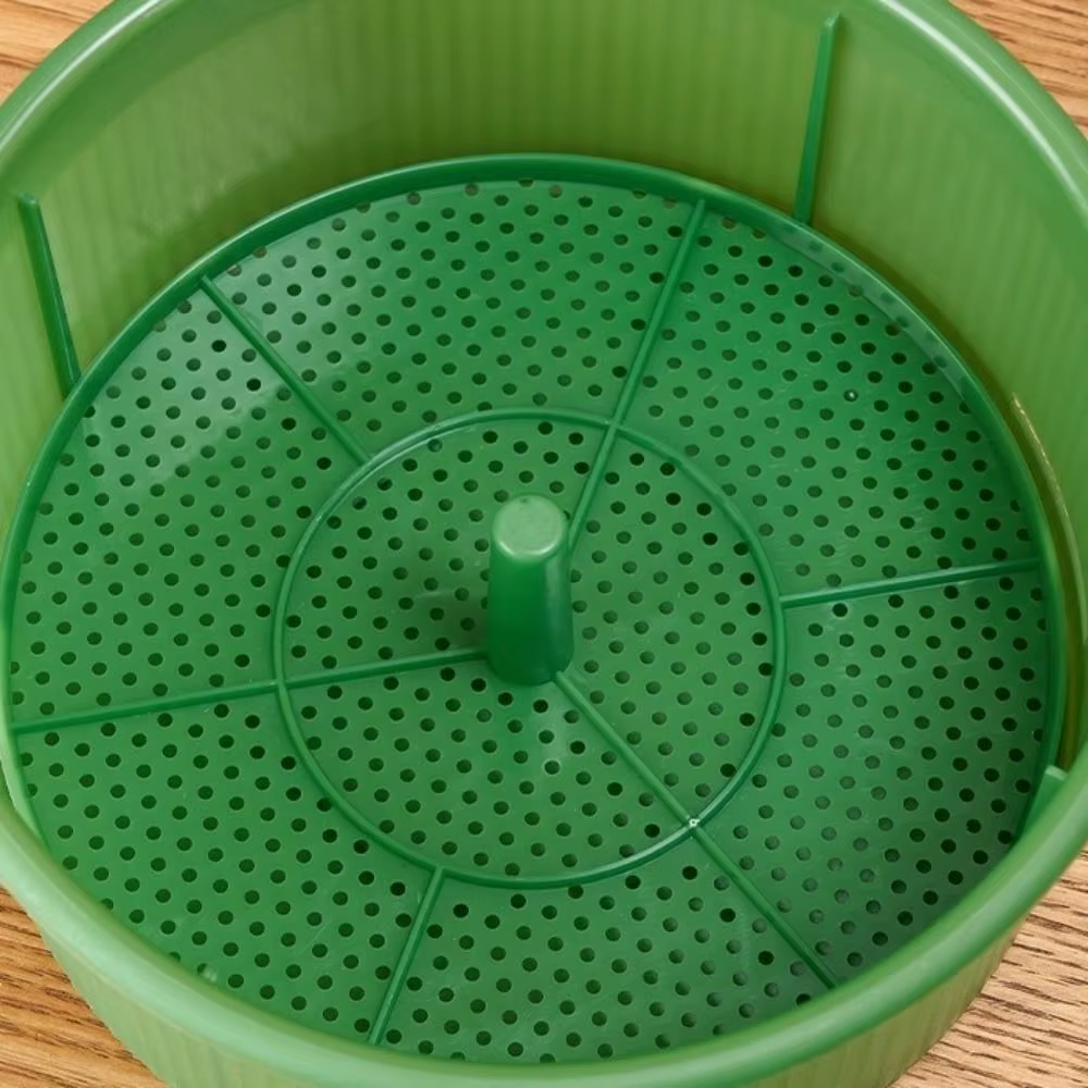 Pots de pépinière en plastique pour germes de haricots