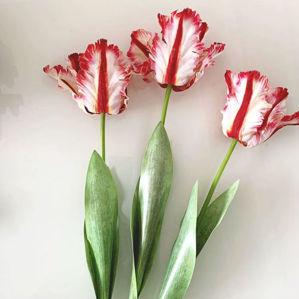 Fleur pour la maison, les fêtes
