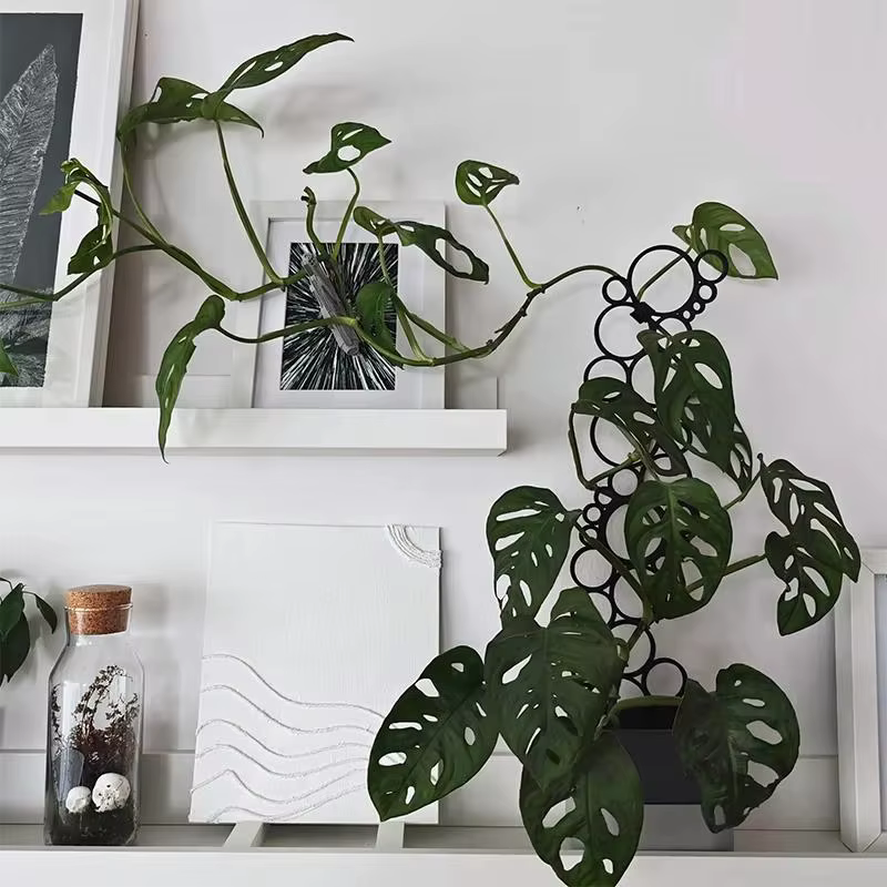 1 pièce Treillis métallique pour plantes grimpantes