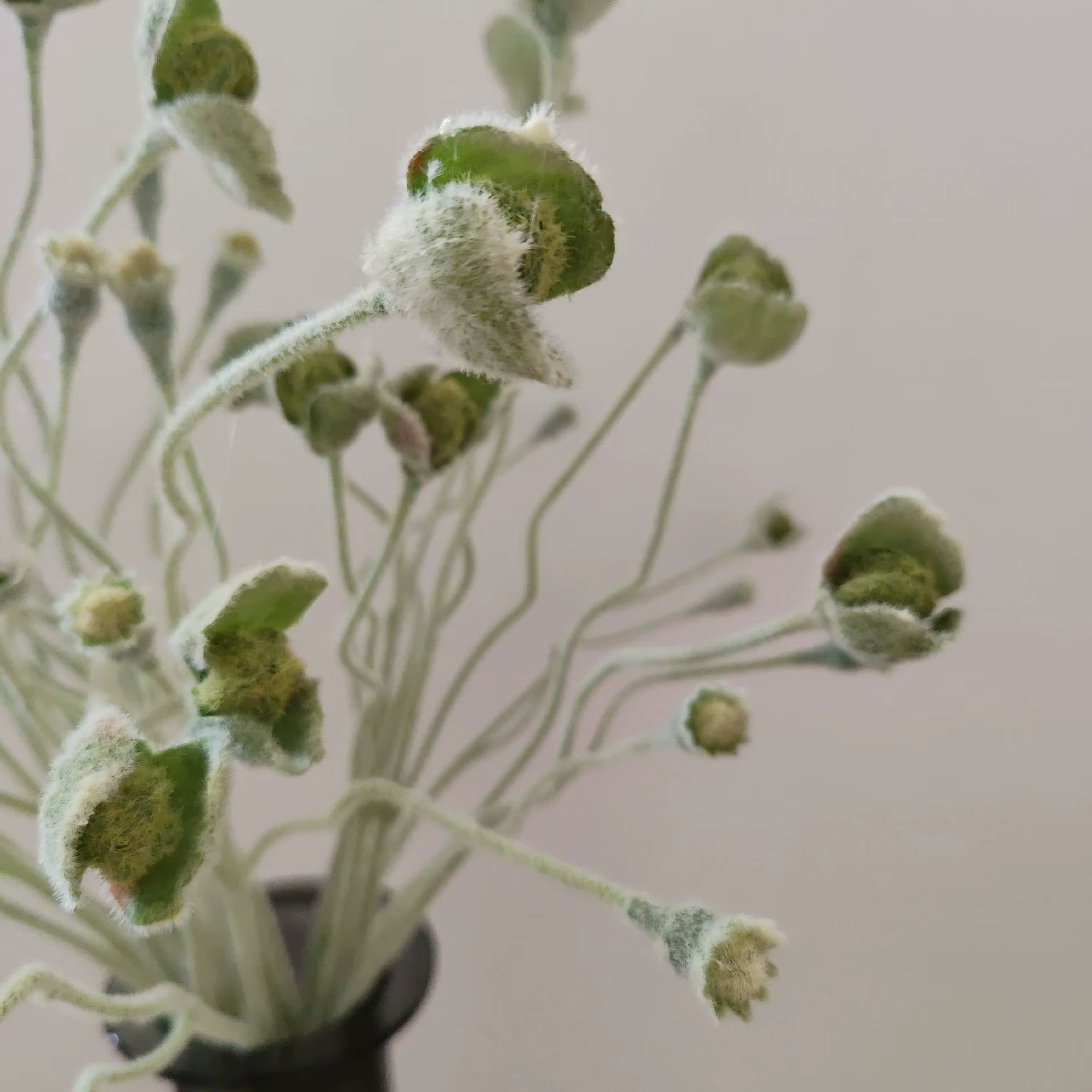 Branche de plantes vertes artificielles