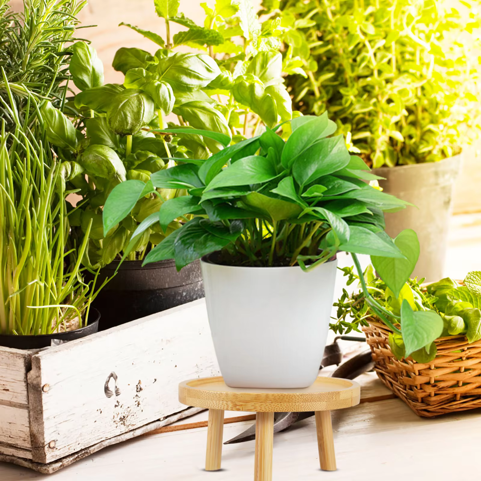 Support décoratif rond en bois massif pour pots de fleurs