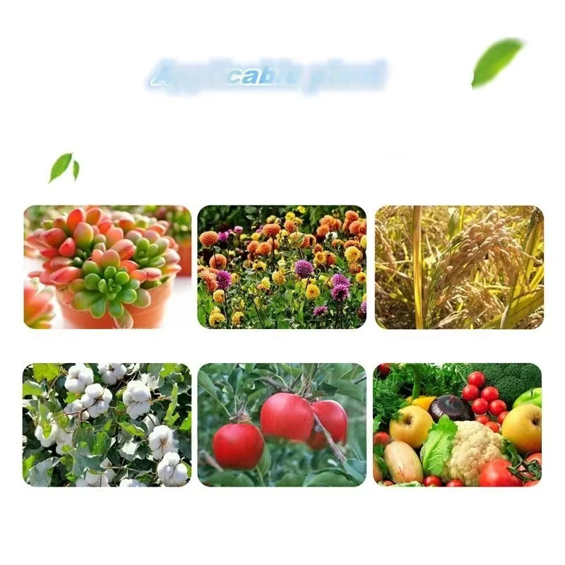 Poudre d'os horticole biologique naturelle