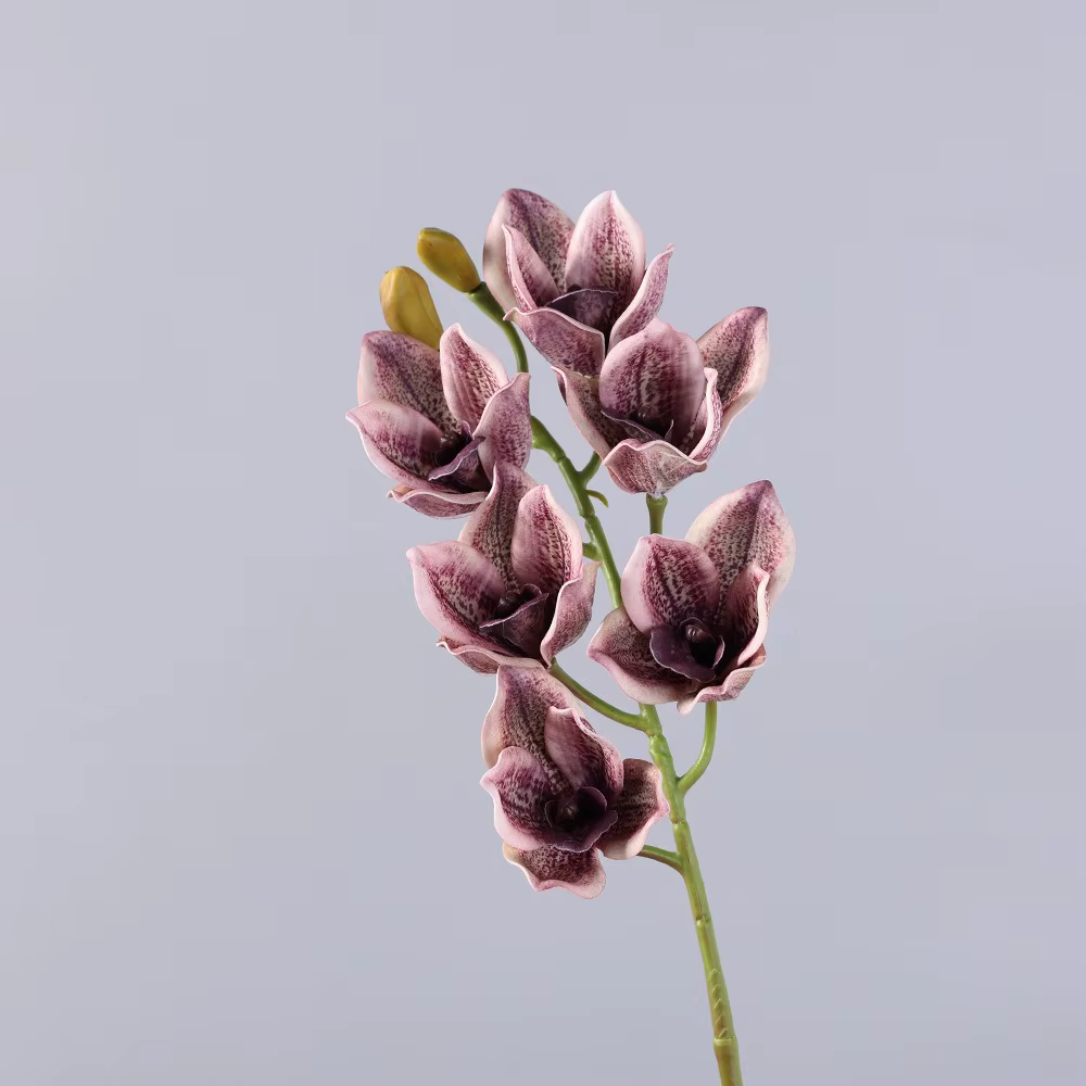 6 têtes d'orchidées artificielles Papilio