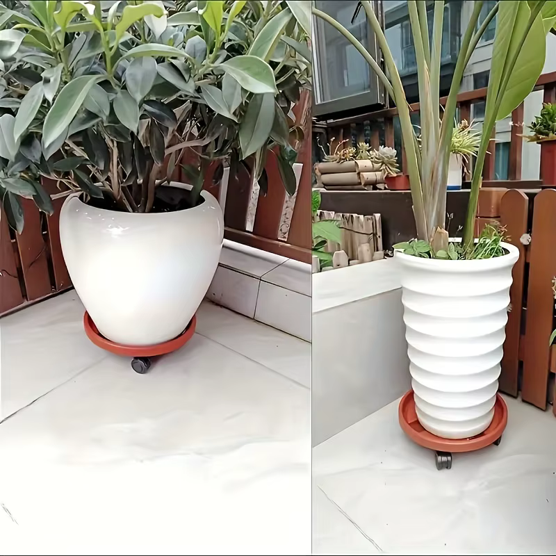 Support de plantes roulant avec plateau en résine amovible
