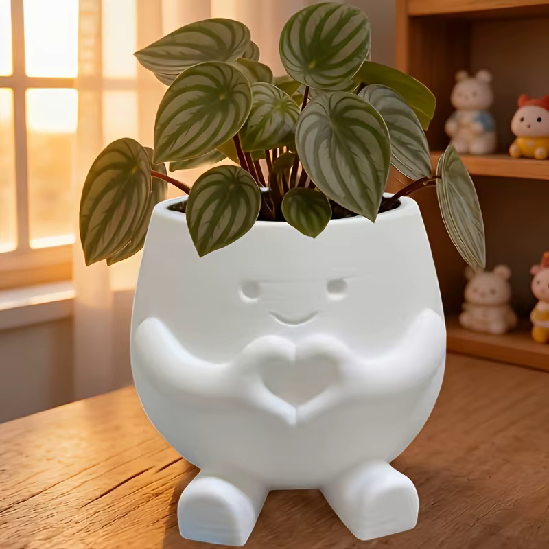 2 pots de plantes porte-bonheur