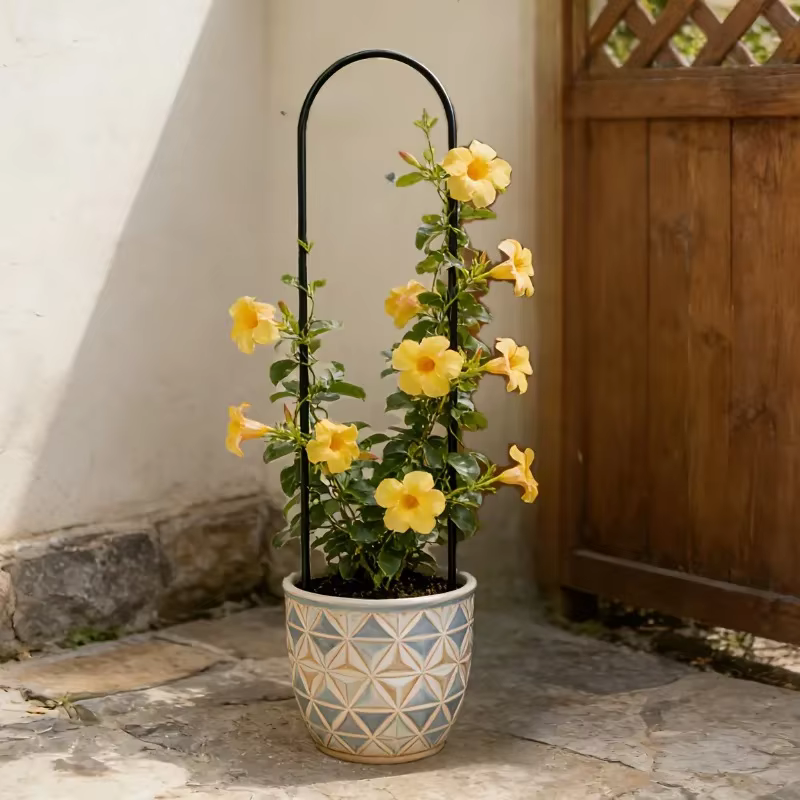 Lot de 2 treillis en métal en forme de U pour plantes grimpantes
