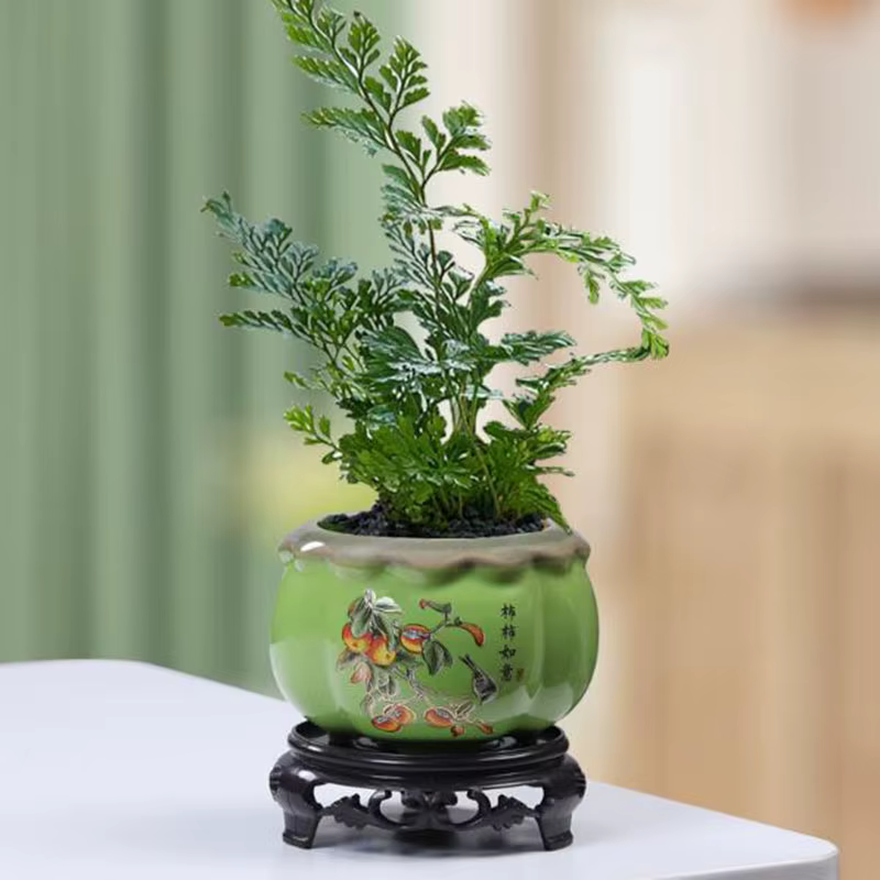 Pot de fleurs kaki en céramique de Style chinois