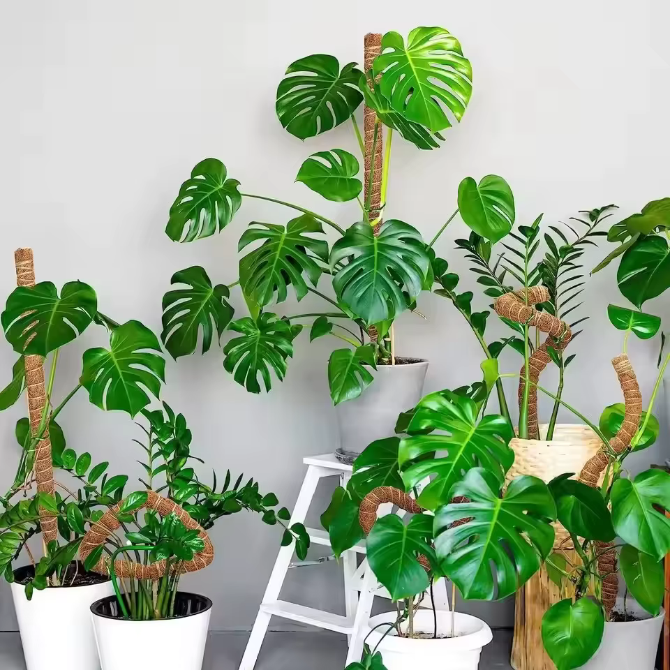 Bendable Plants Climbing Support Plant Moss Coir Pole Bottom