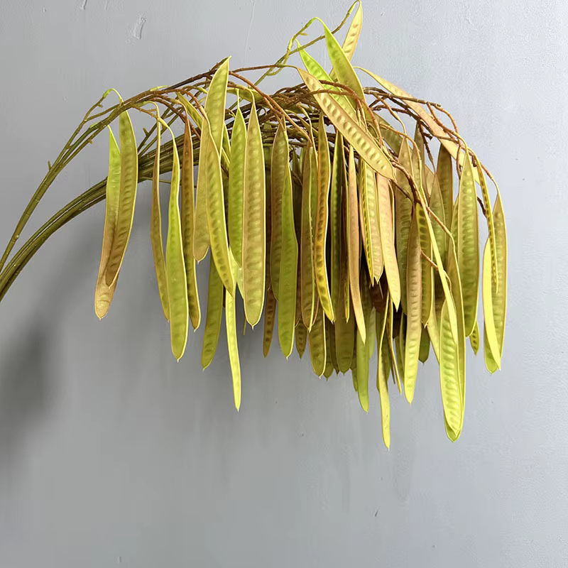 Haricots artificiels au toucher réel