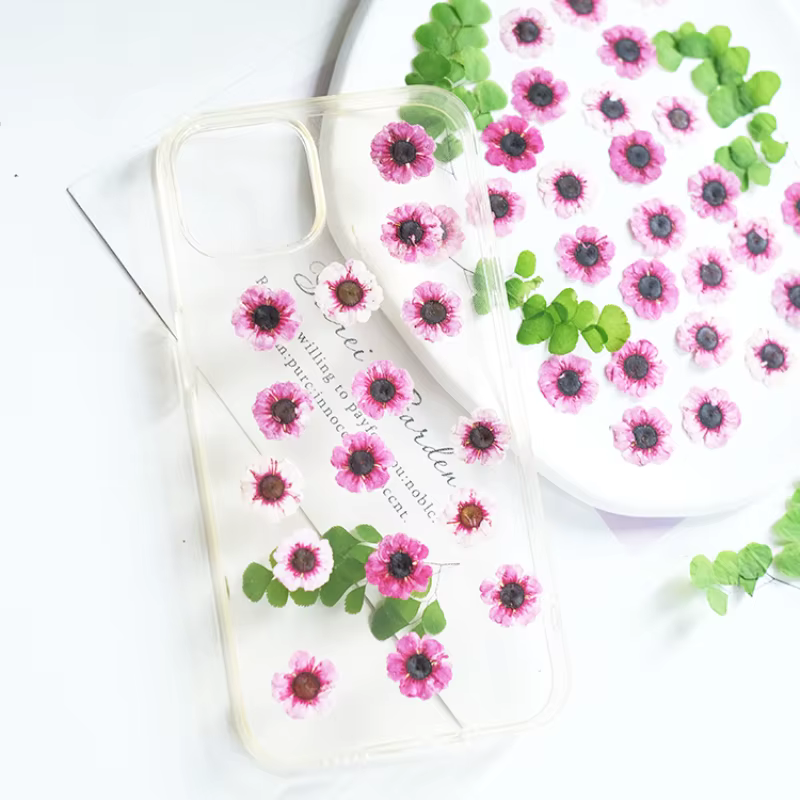 1-2cm/12pcs, Têtes de fleurs de Manuka rouges pressées