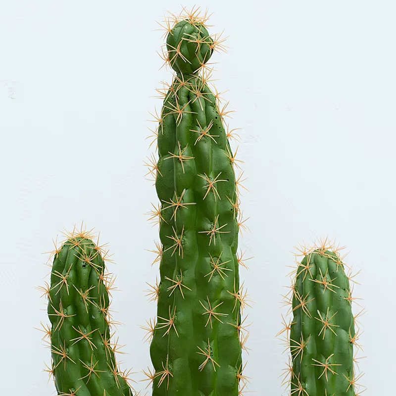 Plante succulente verte artificielle au toucher réaliste avec pot