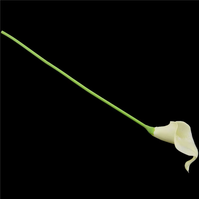 72X Fleurs artificielles de lys Calla à longue tige