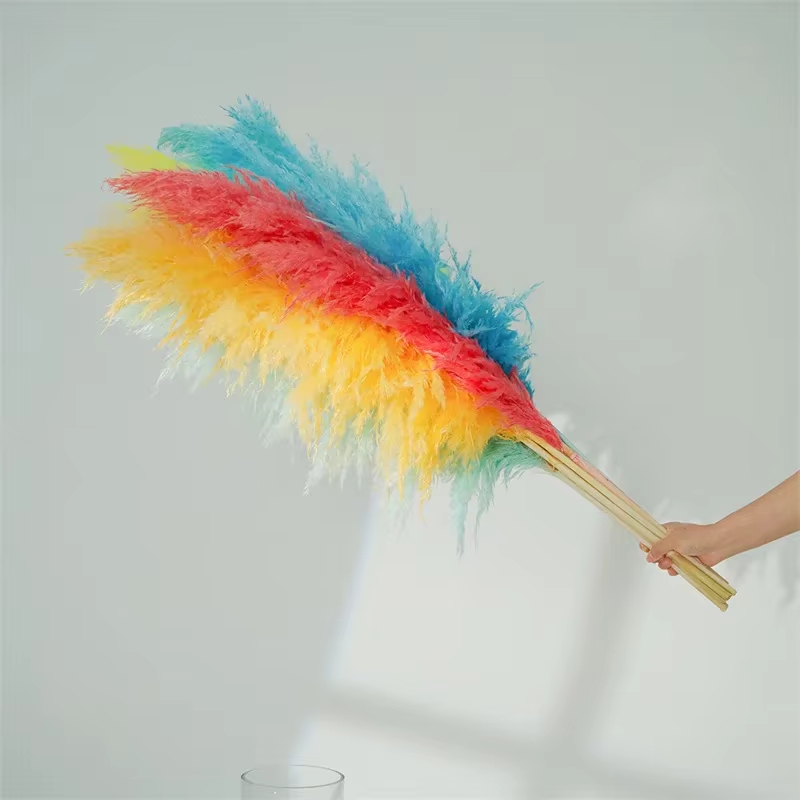 Décor d'herbe de Pampa séchée de 80 à 120CM de haut