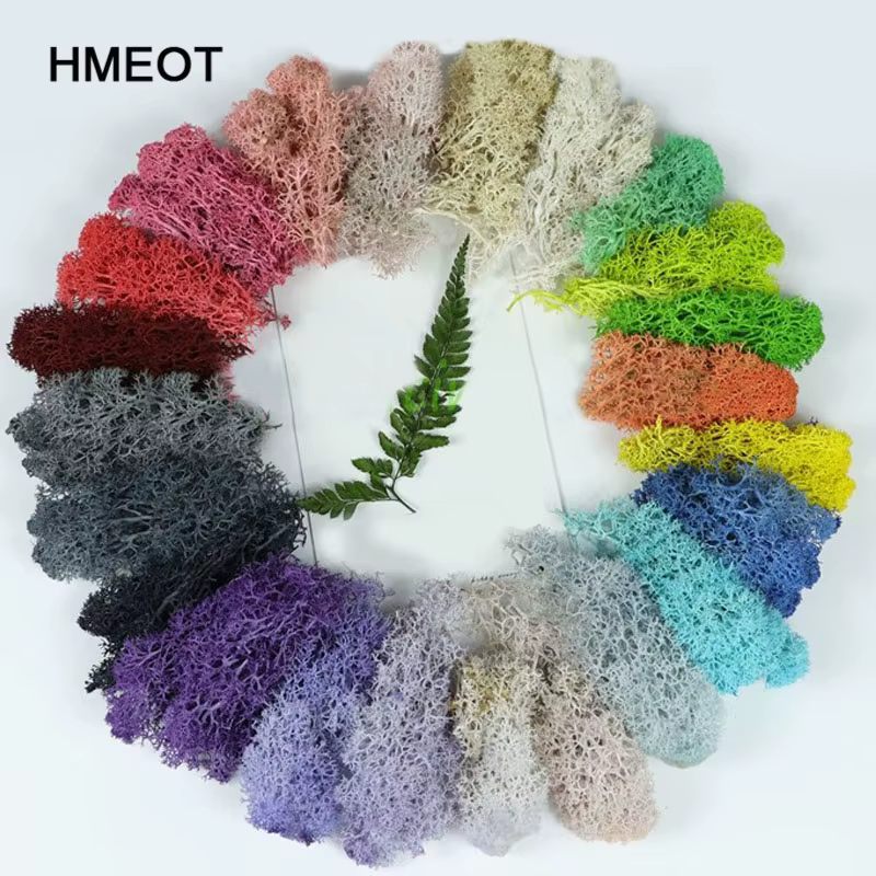 Nouveau 1000g plantes artificielles vie éternelle mousse/jardin décor à la maison mur bricolage fleur matériel Mini jardin Micro paysage faux mousse