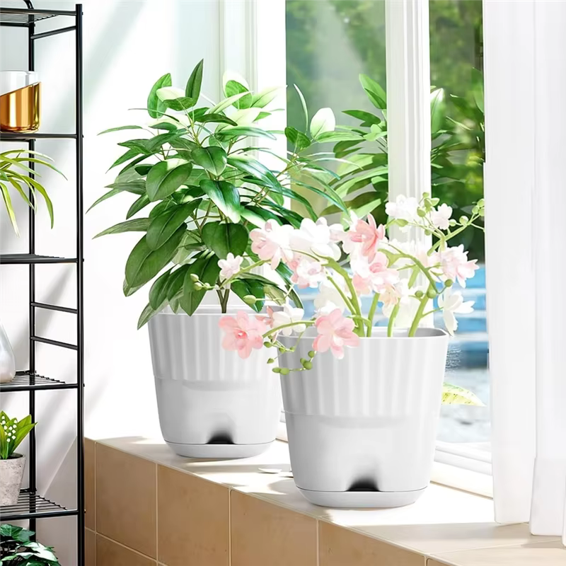 Pots de fleurs 6 pouces