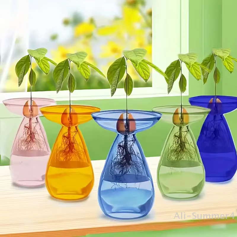 Vase hydroponique Transparent coloré d'avocat