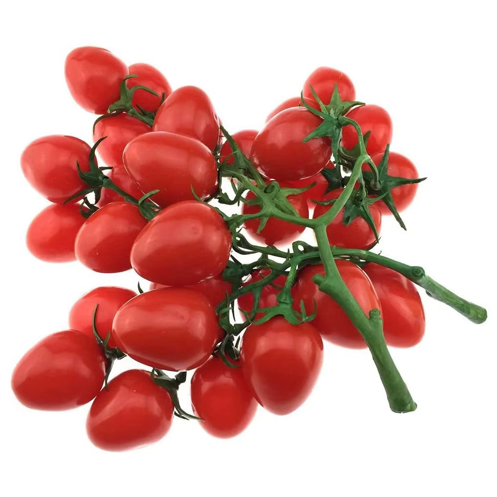 Tomate artificielle de 19 cm