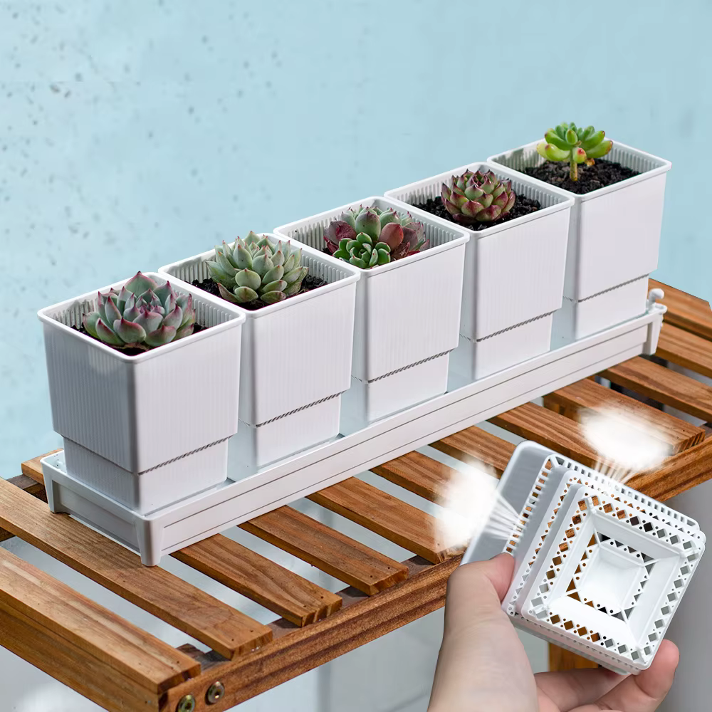 Meshpot – jardinières succulentes avec plateau en plastique