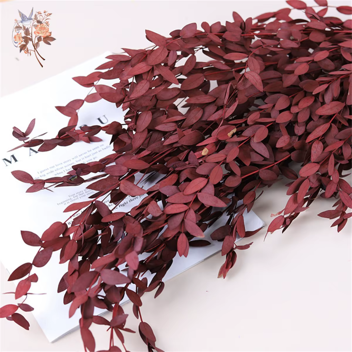 Bouquet de feuilles d'eucalyptus naturelles
