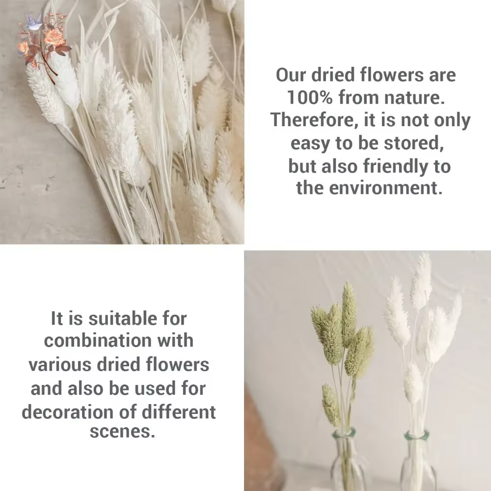 Bouquet de pierres précieuses de phaladditif séchées éternelles