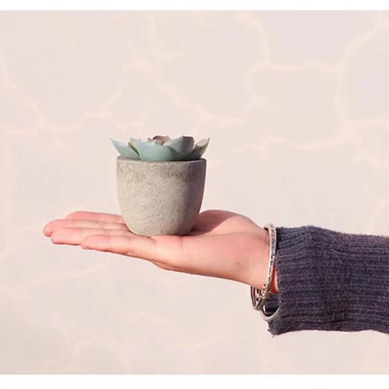 Mini plantes artificielles à l'aloe vera