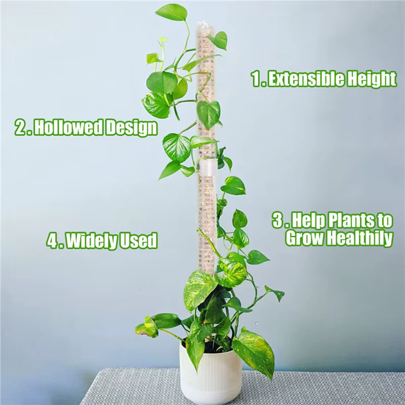 Colonne grimpante pour plantes
