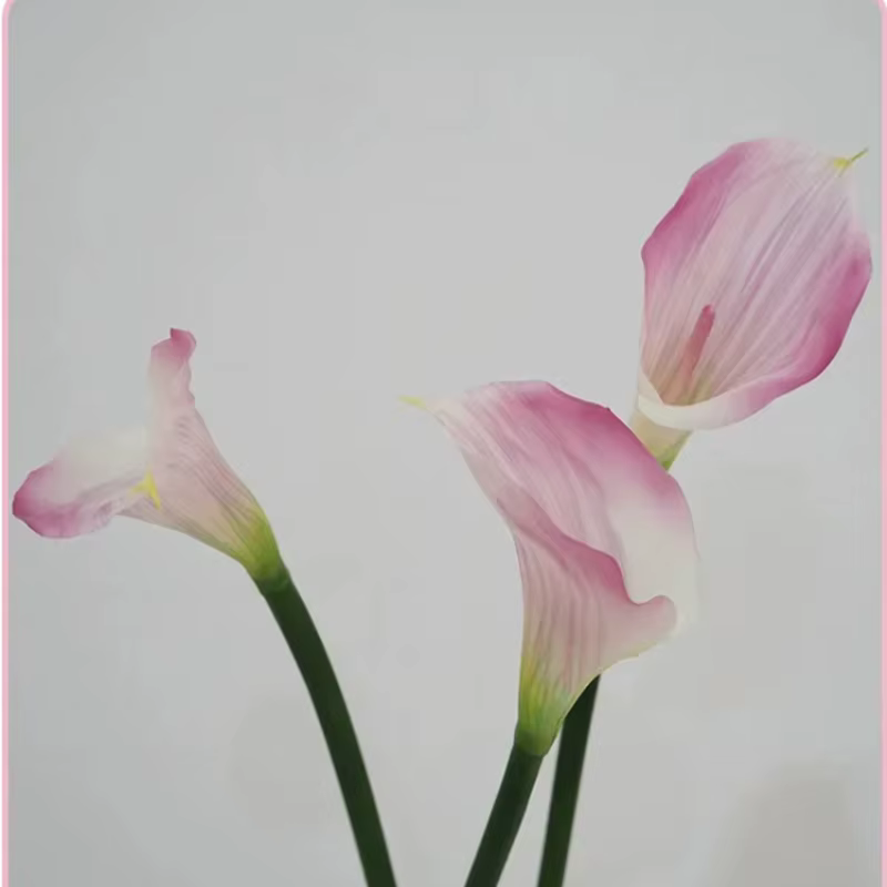 12 pièces Faux Latex Calla Lily fleurs artificielles Bouquet de mariage vraie touche Callas chambre maison décorative fête fleur accessoires